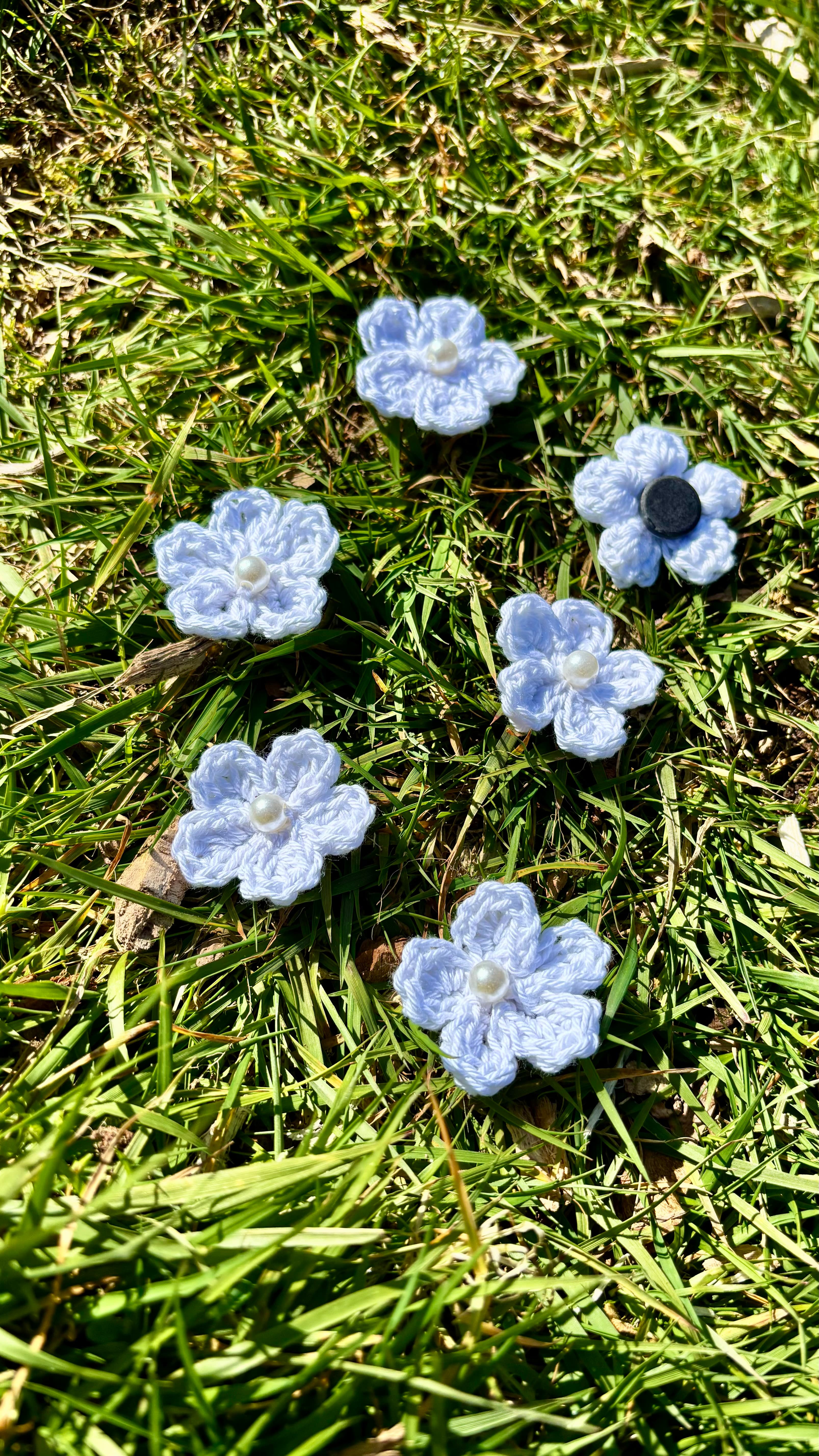 Flower Magnets