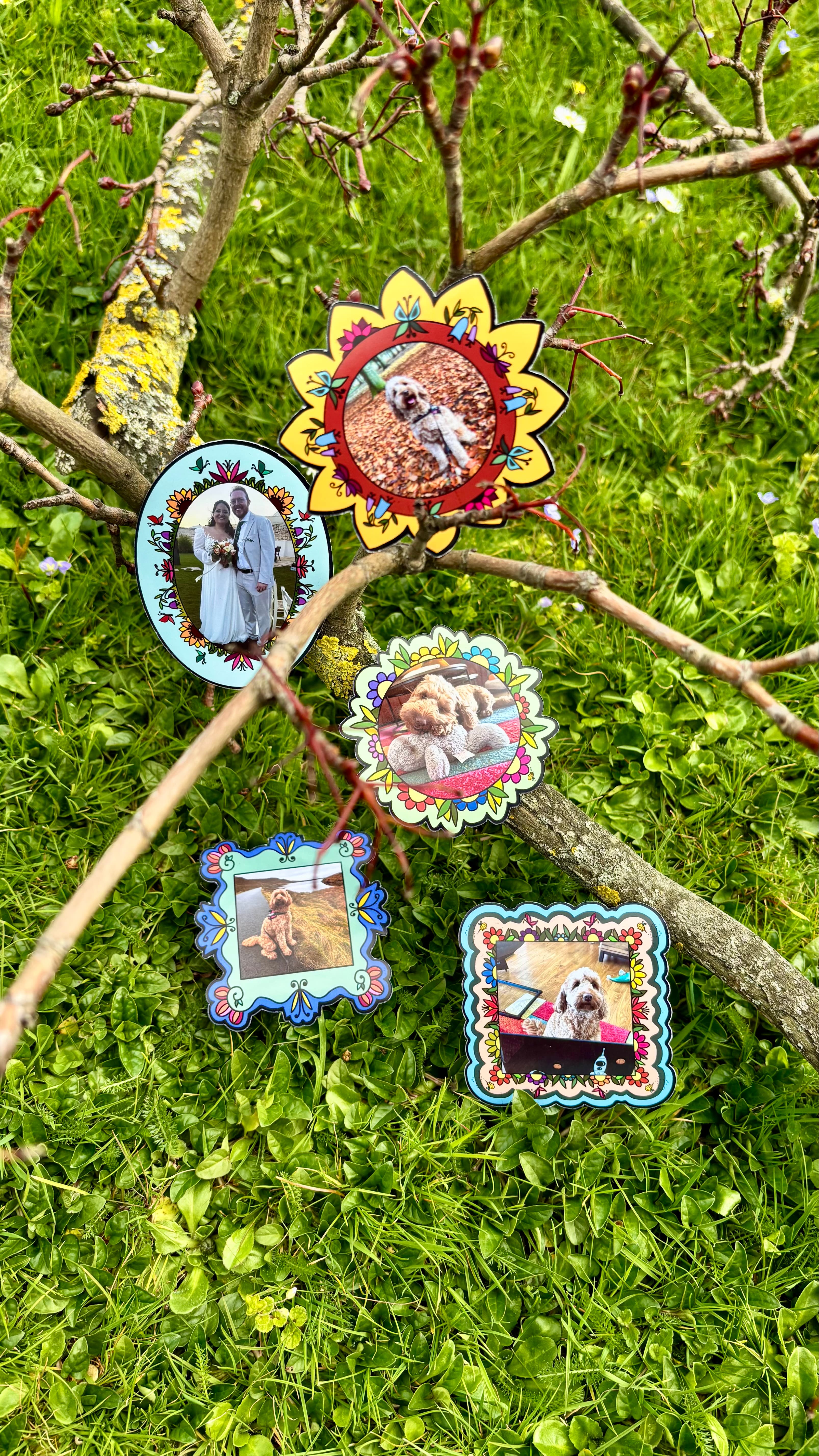 Magnet Frames
