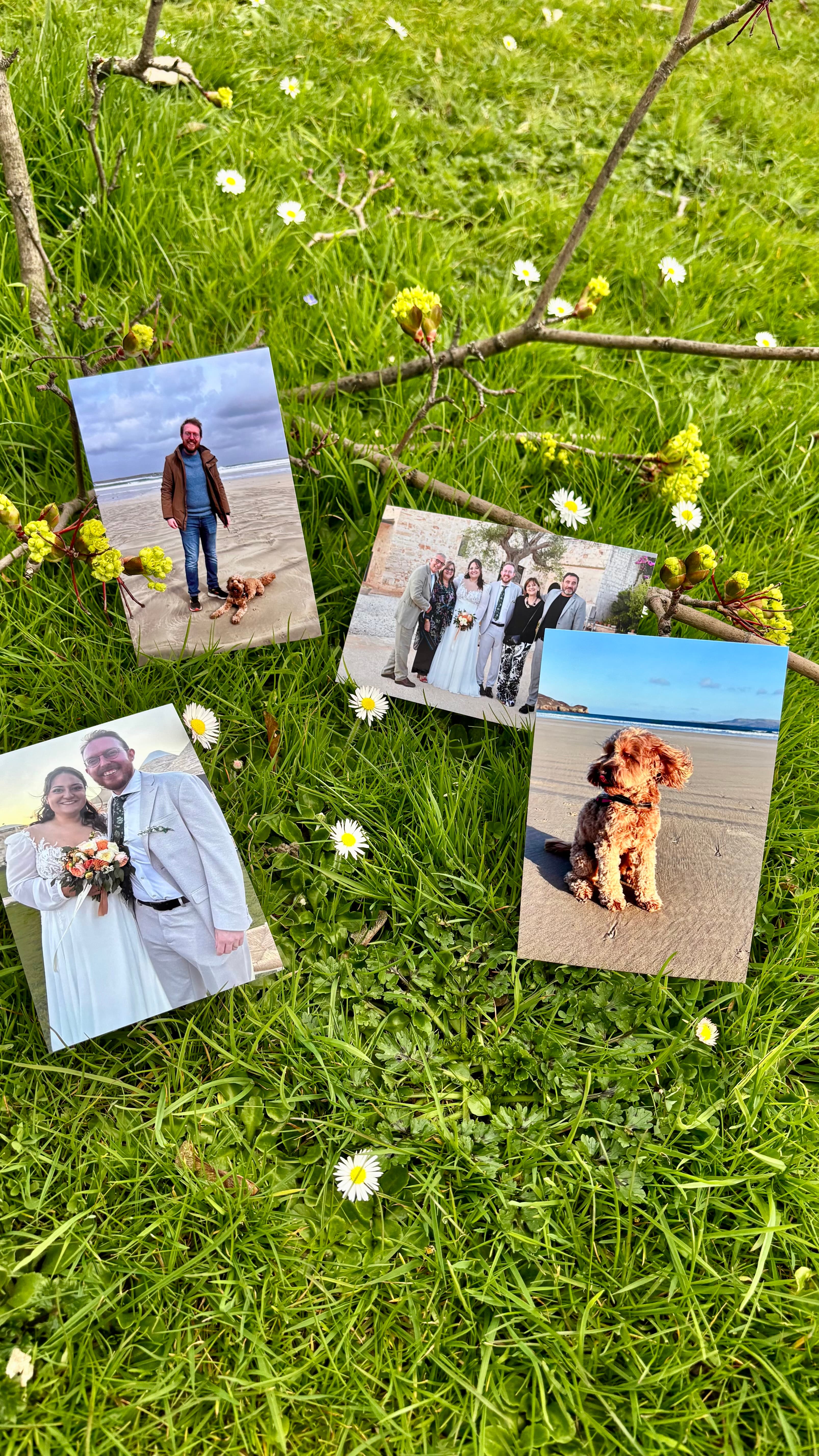 Photo Prints