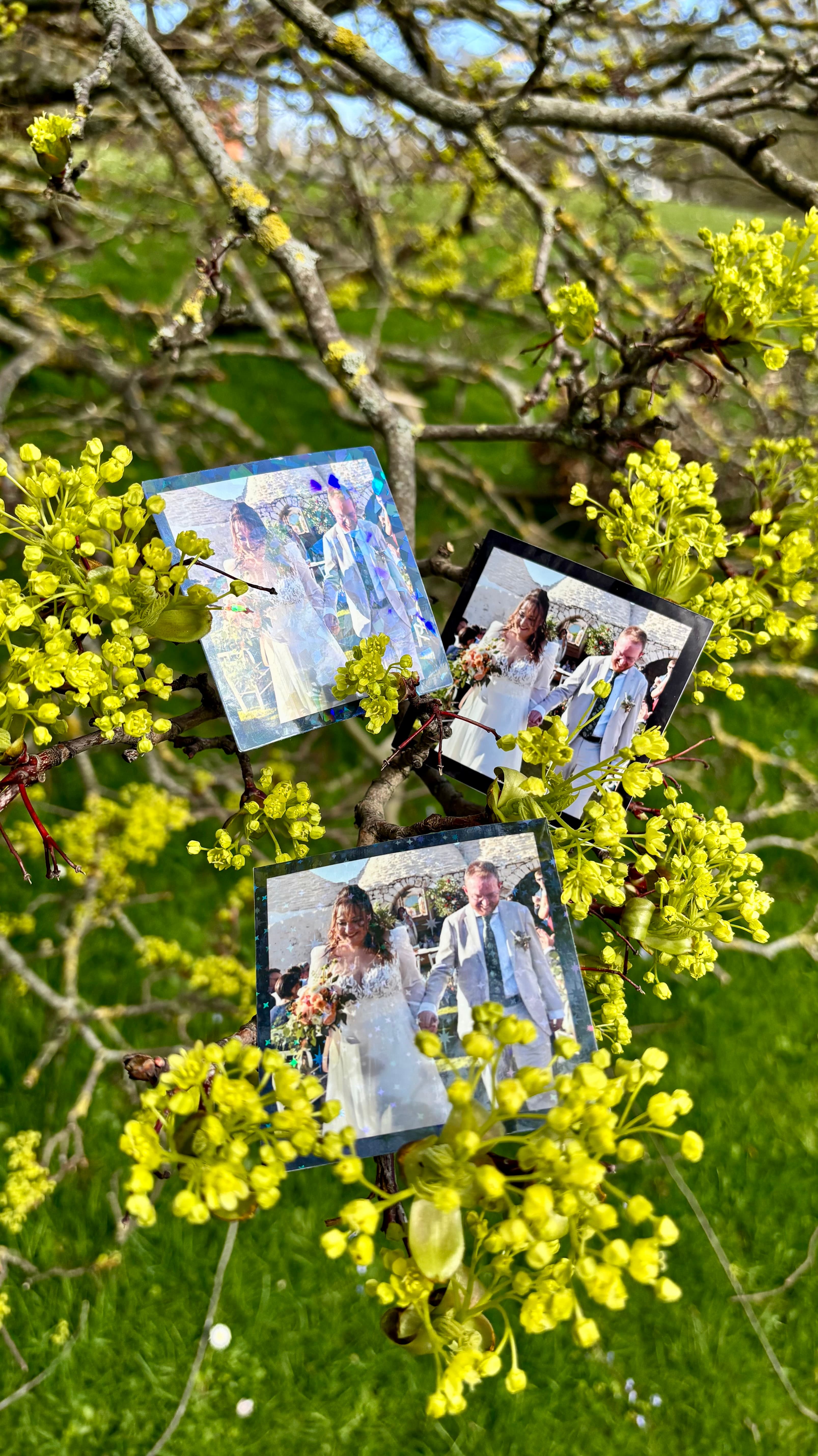 Photo Stickers